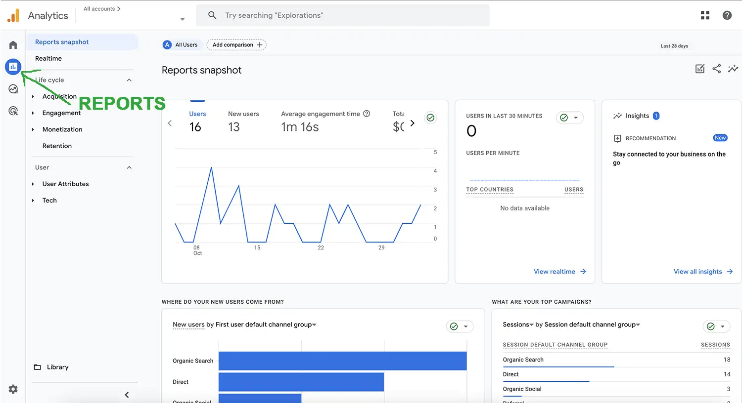 Google Analytics Reports View